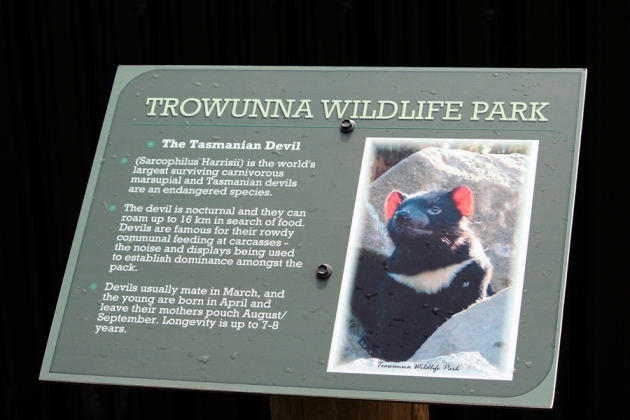再走五分鐘，就到Trowunna Wildlife Park